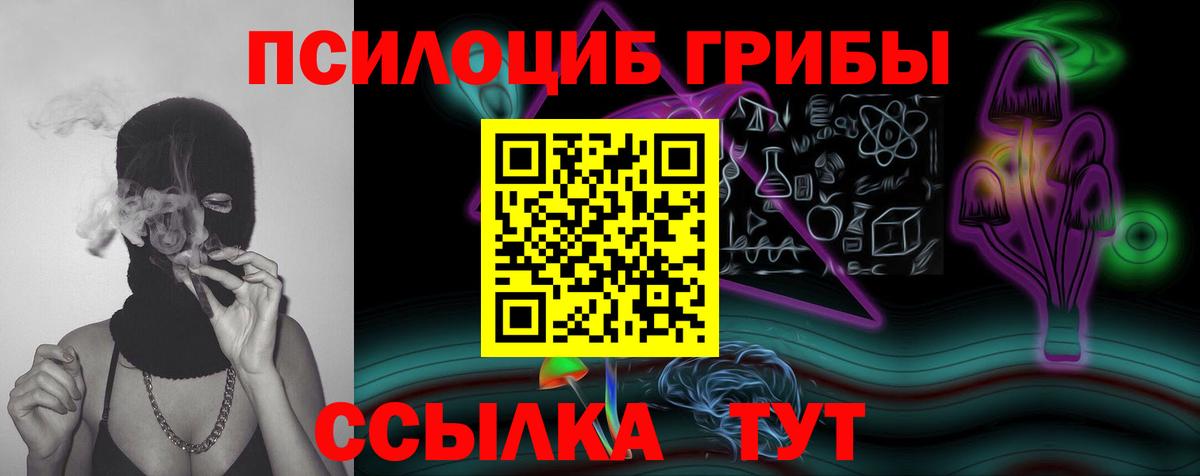 Галлюциногенные грибы MAGIC MUSHROOMS  Вход с VPN  Гудермес 